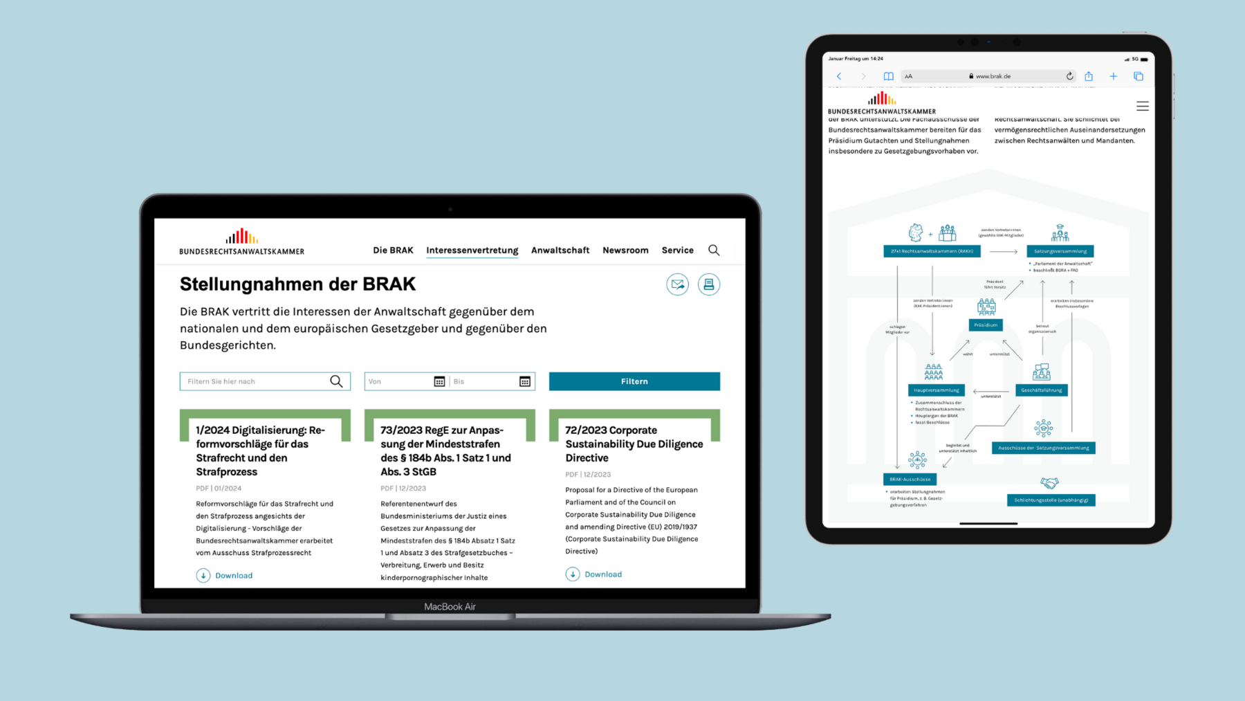 View of two subpages with BRAK statements and organisation chart.