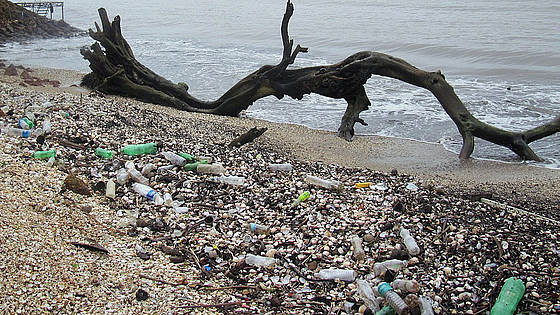 Vermüllter Strand in Indien