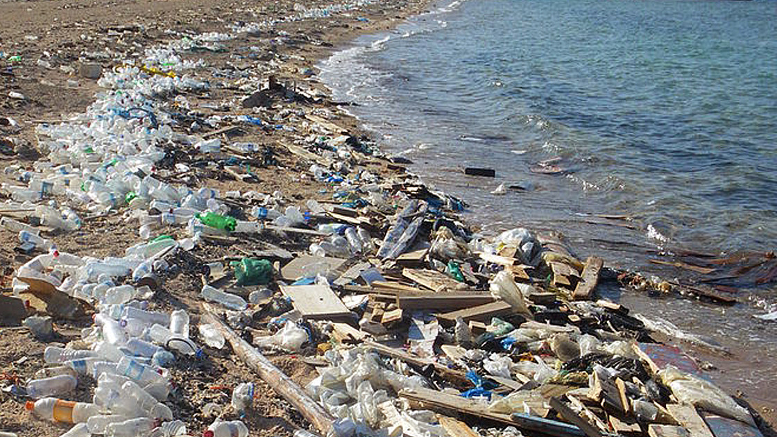 Angeschwemmter Plastikmüll am Strand