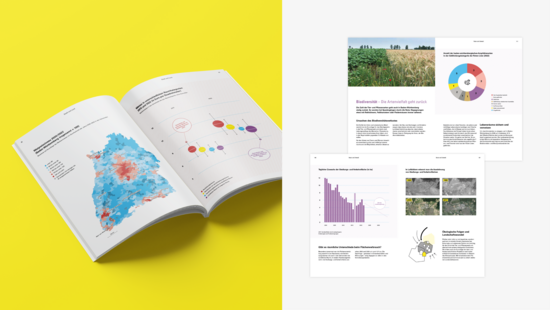 Ansicht der Broschüre mit Informationen zur Landesentwicklungsplanung im Corporate Design.