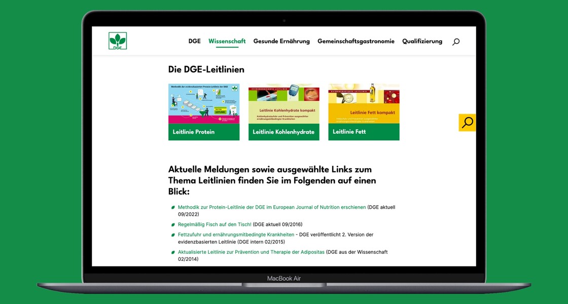 Ansicht der Unterseite zu den DGE-Leitlinien mit Meldungen und Links.