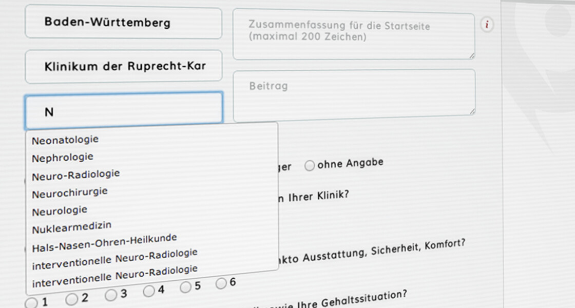 KST 12 Form Screenshot der Eingabemaske für Statusberichte