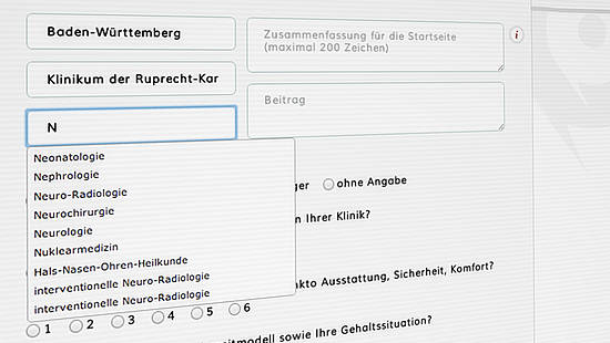 Screenshot der Eingabemaske für Statusberichte