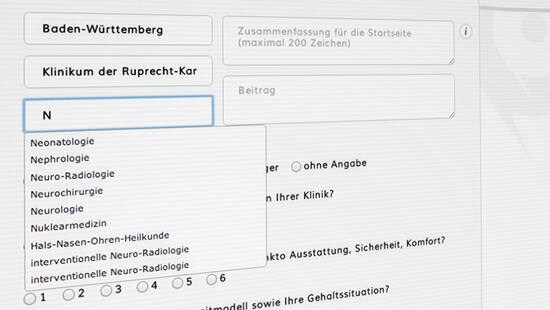 Screenshot der Eingabemaske für Statusberichte