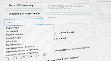 Screenshot der Eingabemaske für Statusberichte