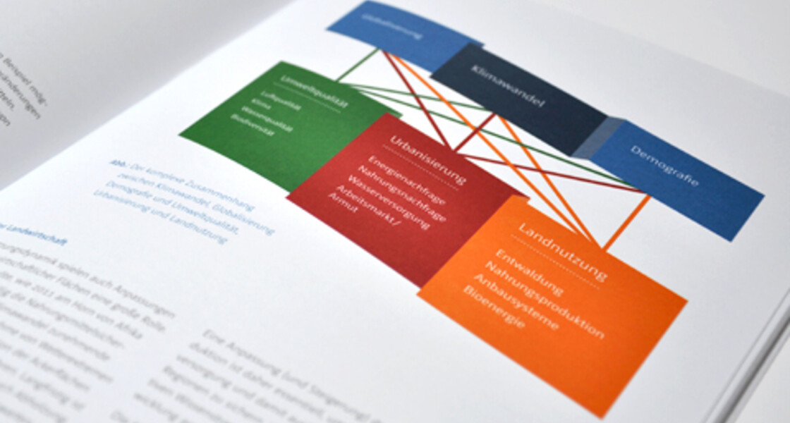 Ansicht einer Infografik im Themenpapier