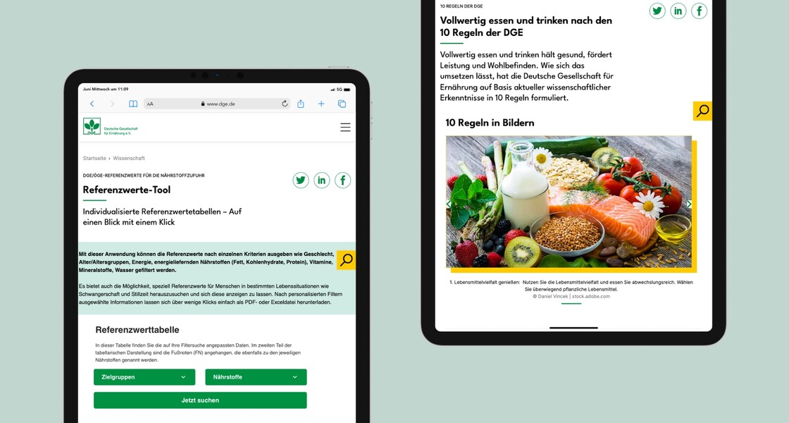 Tablet-Ansicht des Referenzwerte-Tools sowie der Empfehlungsseite „Die 10 Regeln der DGE“.